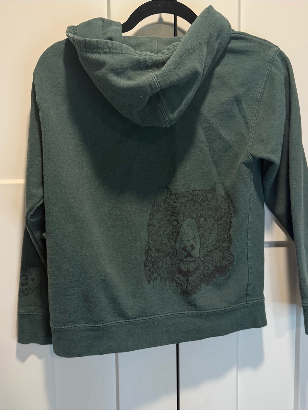 Designs of Alaska Forest Green Hoodie with Bear Graphic Medium Youth